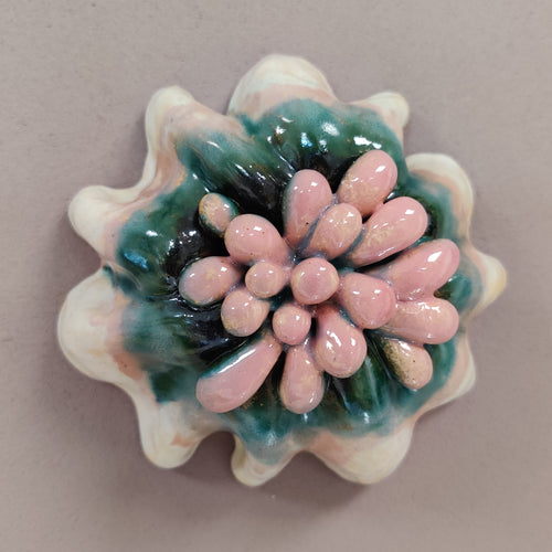 Rosette, strange fruits