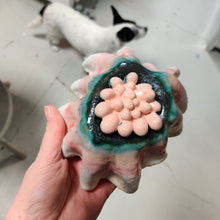 Indlæs billede til gallerivisning Rosette - strange fruits