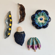 Indlæs billede til gallerivisning Blålig og flaget - Strange Fruits