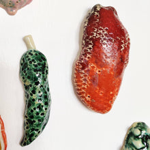 Indlæs billede til gallerivisning Flesh fruit væghængt