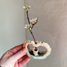 Indlæs billede til gallerivisning minivase slangeduo
