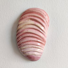 Indlæs billede til gallerivisning Rosa flagefrugt - strange fruits