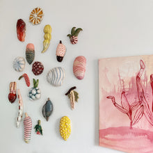 Indlæs billede til gallerivisning Fluffy nut - strange fruits