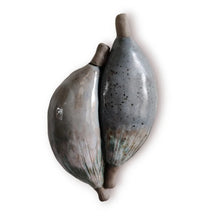 Indlæs billede til gallerivisning Grå duo - strange fruits