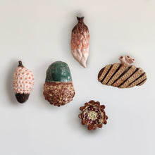 Indlæs billede til gallerivisning Brownie - strange fruits