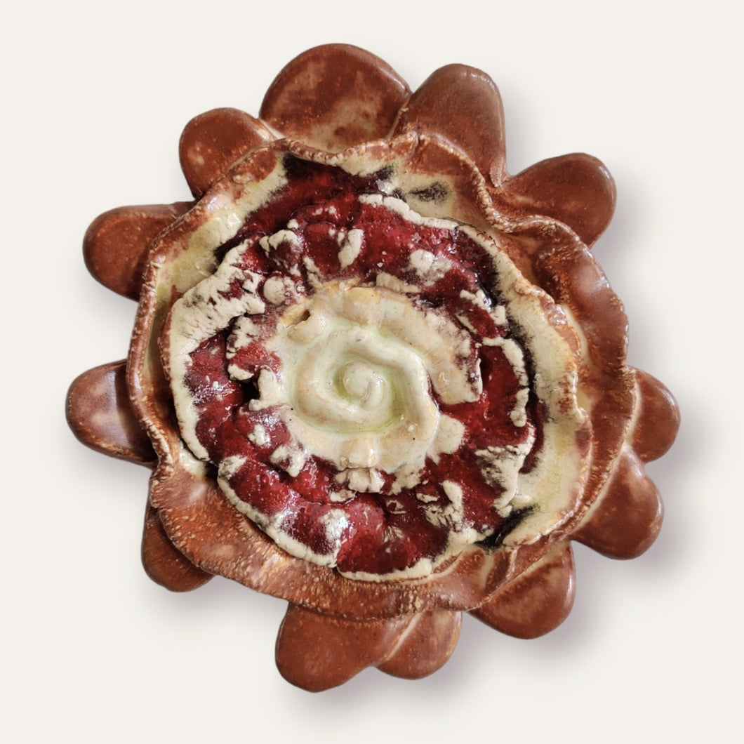 Brownie - strange fruits